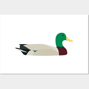 Mallard Posters and Art